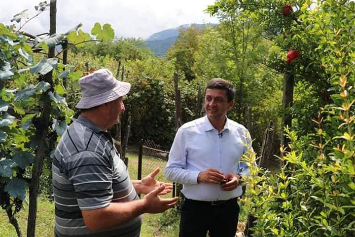 რაჭაში რთველისთვის მზადება დაიწყო