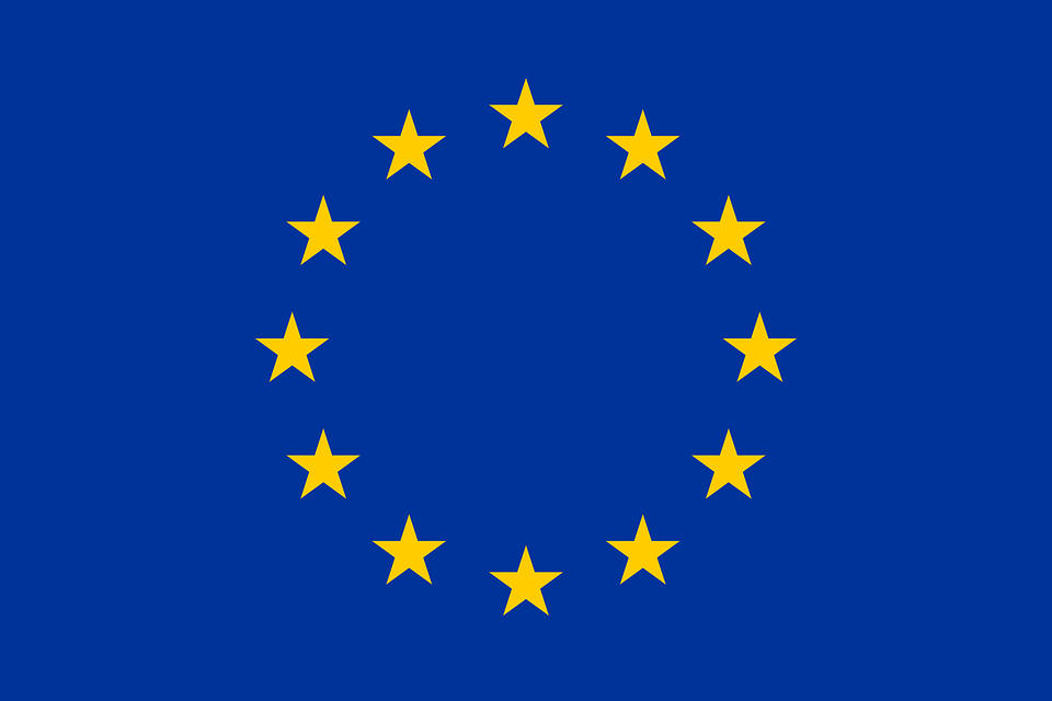 საქართველოში ევროკავშირის წარმომადგენლობა - იმედი გვაქვს, ყველა პარტია შეძლებს მათ შორის არსებული განსხვავებების გადალახვას, რომ მიუხედავად მათი მხრიდან საარჩევნო პროცესის განსხვავებულად შეფასებისა, პარლამენტში თავისი ადგილი დაიკავოს