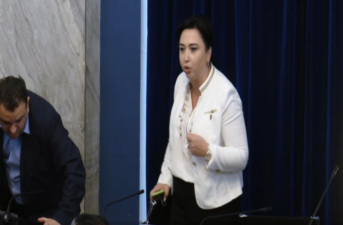 ეკა ბესელია ვანო ზარდიაშვილს - ნაძირალა, არაკაცო, ადეიშვილის ხელის ბიჭო!