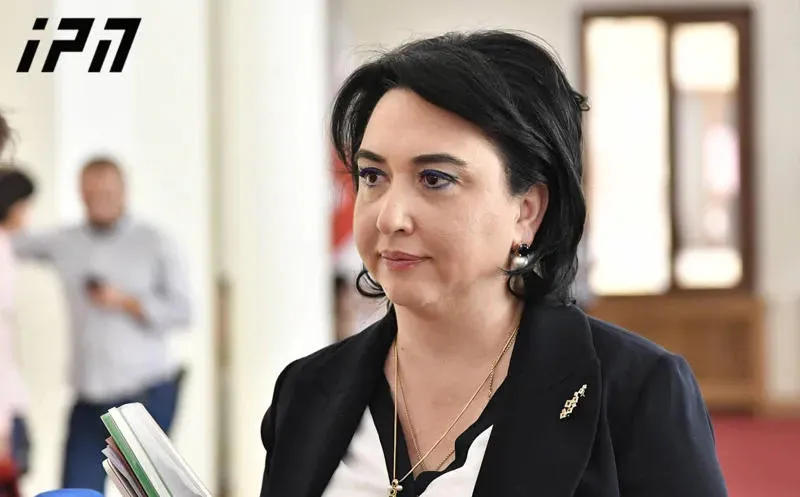 ეკა ბესელია მიიჩნევს, რომ 2020 წლის ბიუჯეტის პროექტი არჩევნების ინტერესებსაა მორგებული
