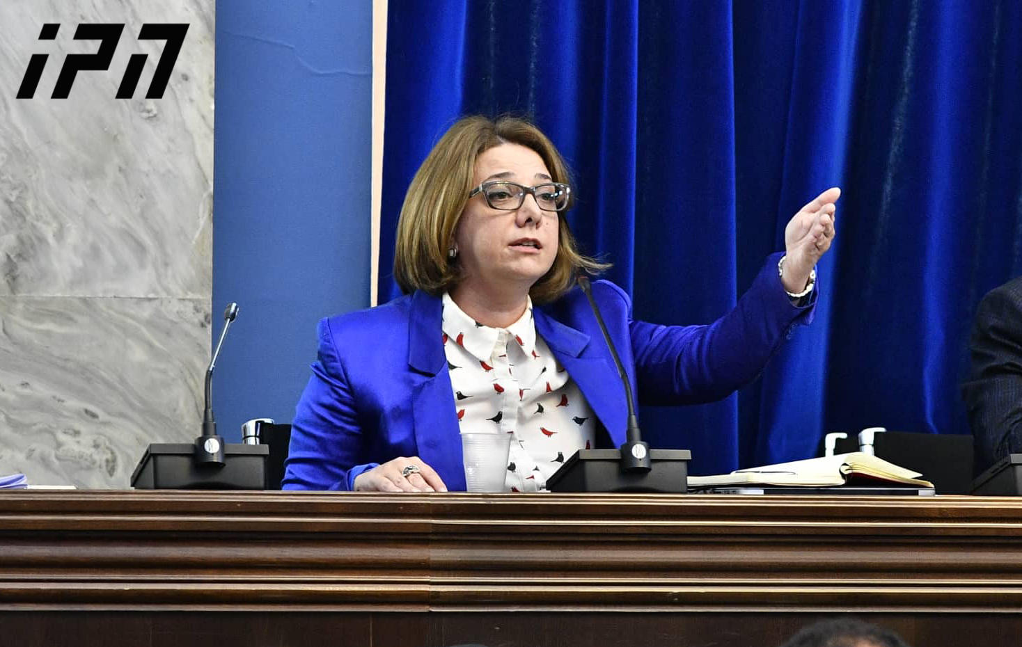 ადამიანის უფლებათა დაცვის კომიტეტზე სალომე სამადაშვილი, სოფო კილაძე და ადა მარშანია ერთმანეთს სიტყვიერად დაუპირისპირდნენ