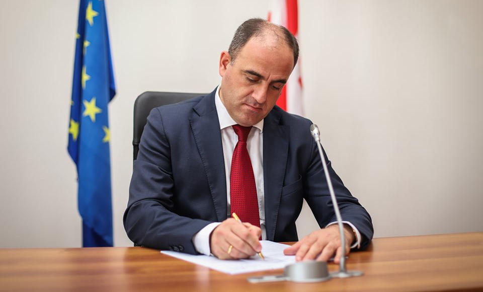 დავით ნარმანია სემეკის თავმჯდომარე გახდა