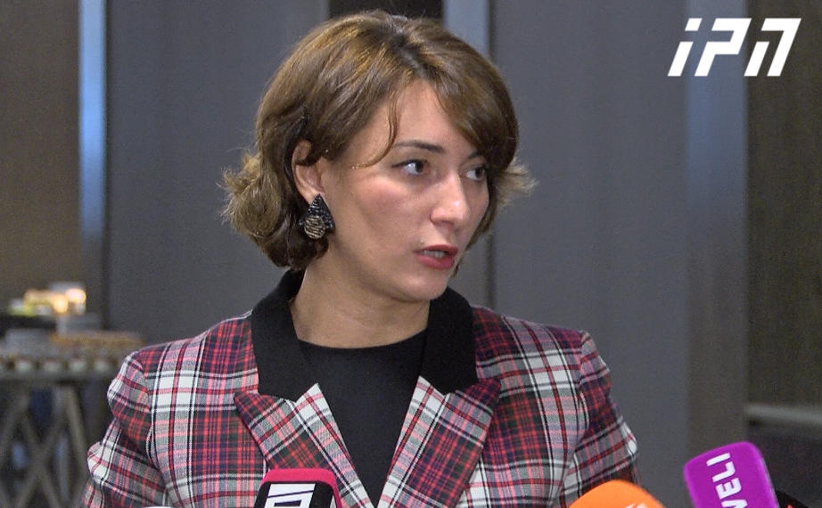 ეკა გიგაური - საქართველოს მთავრობა ყველაფერს აკეთებს იმისთვის, რომ ქვეყნის რუსეთის სივრცეში ინტეგრაცია მოხდეს