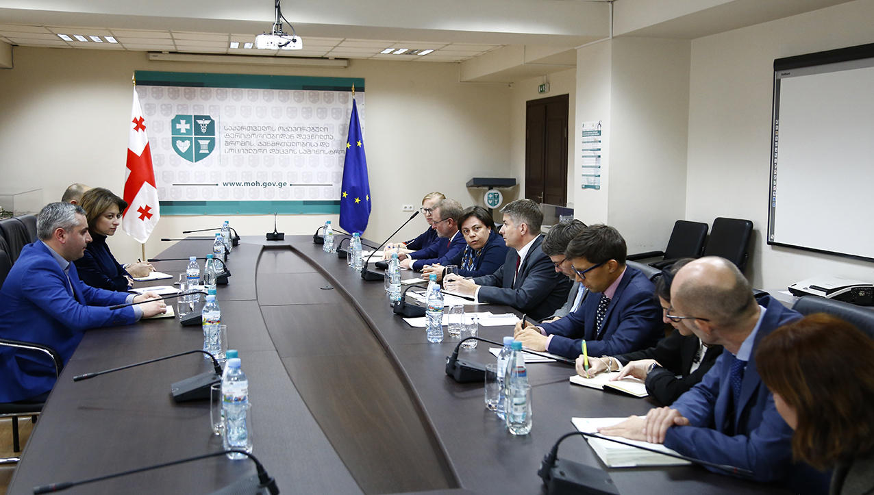 იძულებით გადაადგილებულ პირთა საკითხებთან დაკავშირებით, ეკატერინე ტიკარაძე საერთაშორისო პარტნიორებს შეხვდა