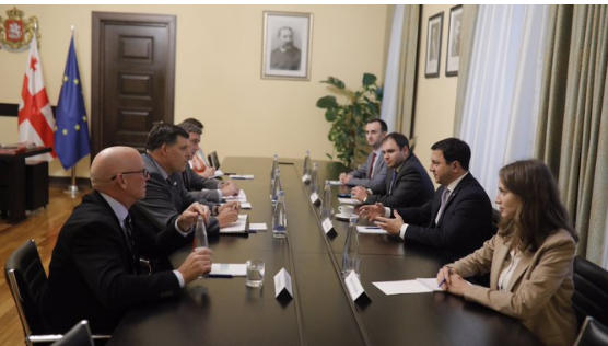USAID-ის დირექტორის მოადგილე - საქართველოს პარლამენტის ხელმძღვანელები  მარწმუნებდნენ, რომ  საარჩევნო რეფორმა გავიდოდა - „ქართულმა ოცნებამ“ არ შეასრულა თავისი საჯაროდ აღიარებული ვალდებულება