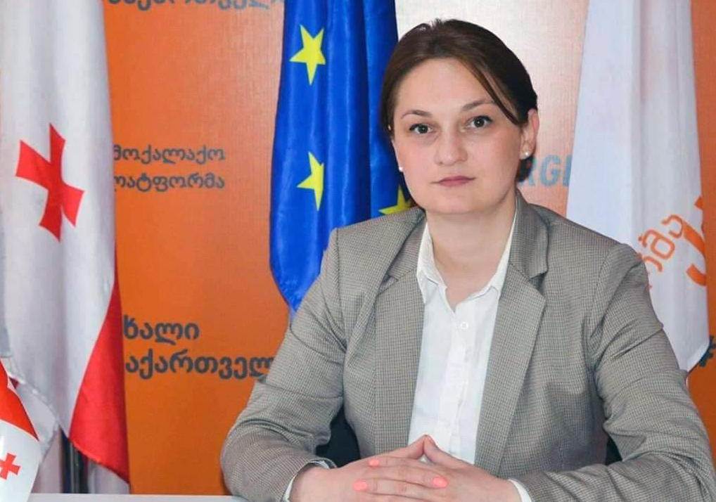 „ახალი საქართველოს“ წარმომადგენელი - დადასტურდა, რომ „ქართული ოცნება“ პირწმინდად მიყვება ქვეყნის გაღარიბების, გაუნათლებლობის და ჭაობში ჩახრჩობის გეგმას