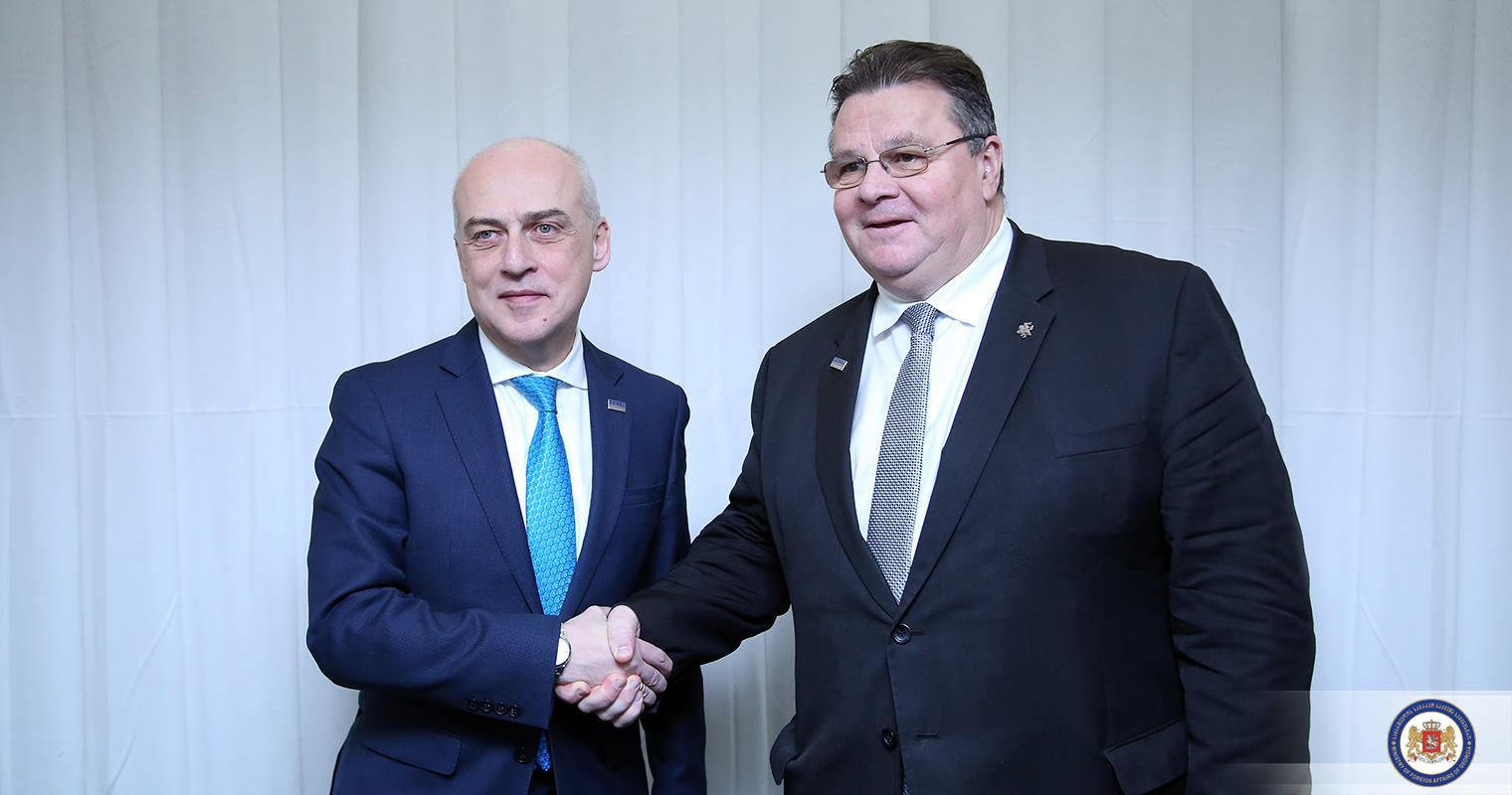 დავით ზალკალიანი ლიეტუველ კოლეგას შეხვდა