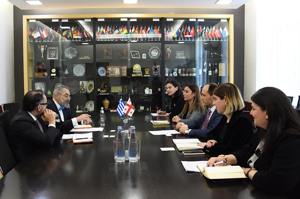 ლევან დავითაშვილი საბერძნეთის რესპუბლიკის ელჩს საქართველოში დიმიტრის კარაბალის შეხვდა