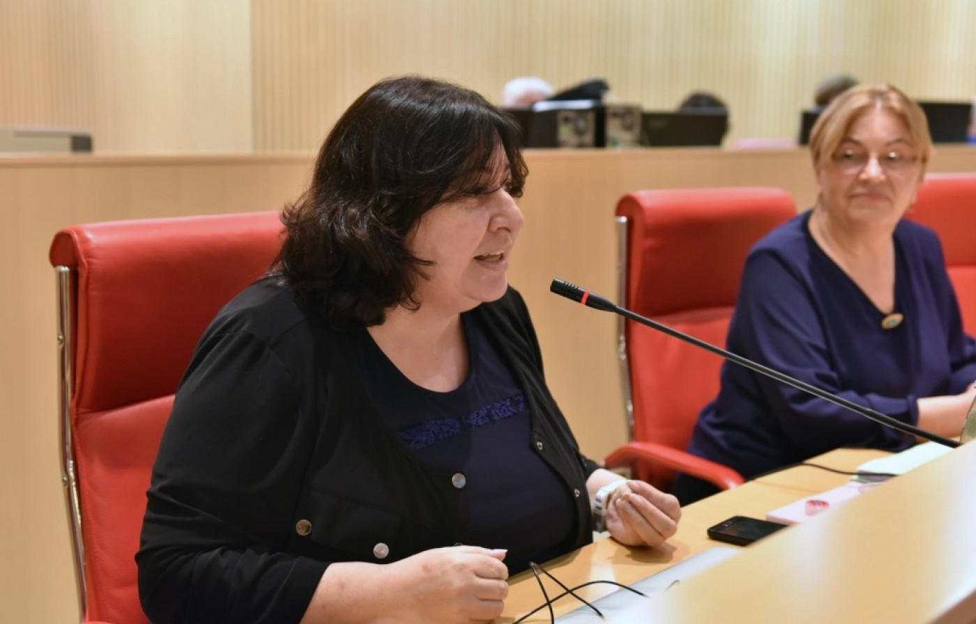 ენძელა მაჭავარიანი პარლამენტის სხდომათა დარბაზში გუშინ მომხდარ ინციდენტზე ობიექტურ გამოძიებას მოითხოვს და აცხადებს, რომ „ასეთი რამის გატარება არ შეიძლება“