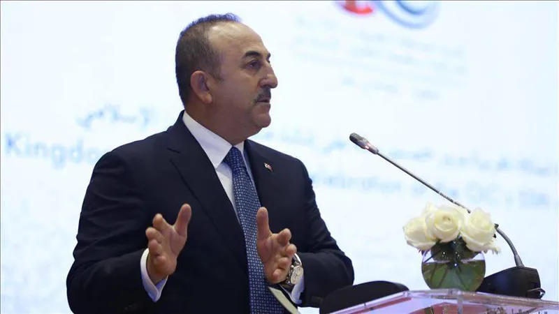 Mevlüt Çavuşoğlu: We need an ally like Georgia and Georgia should be made a NATO member