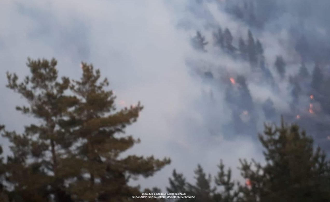 ატენის ხეობაში ცეცხლს 20-მდე მეხანძრე-მაშველი ებრძვის
