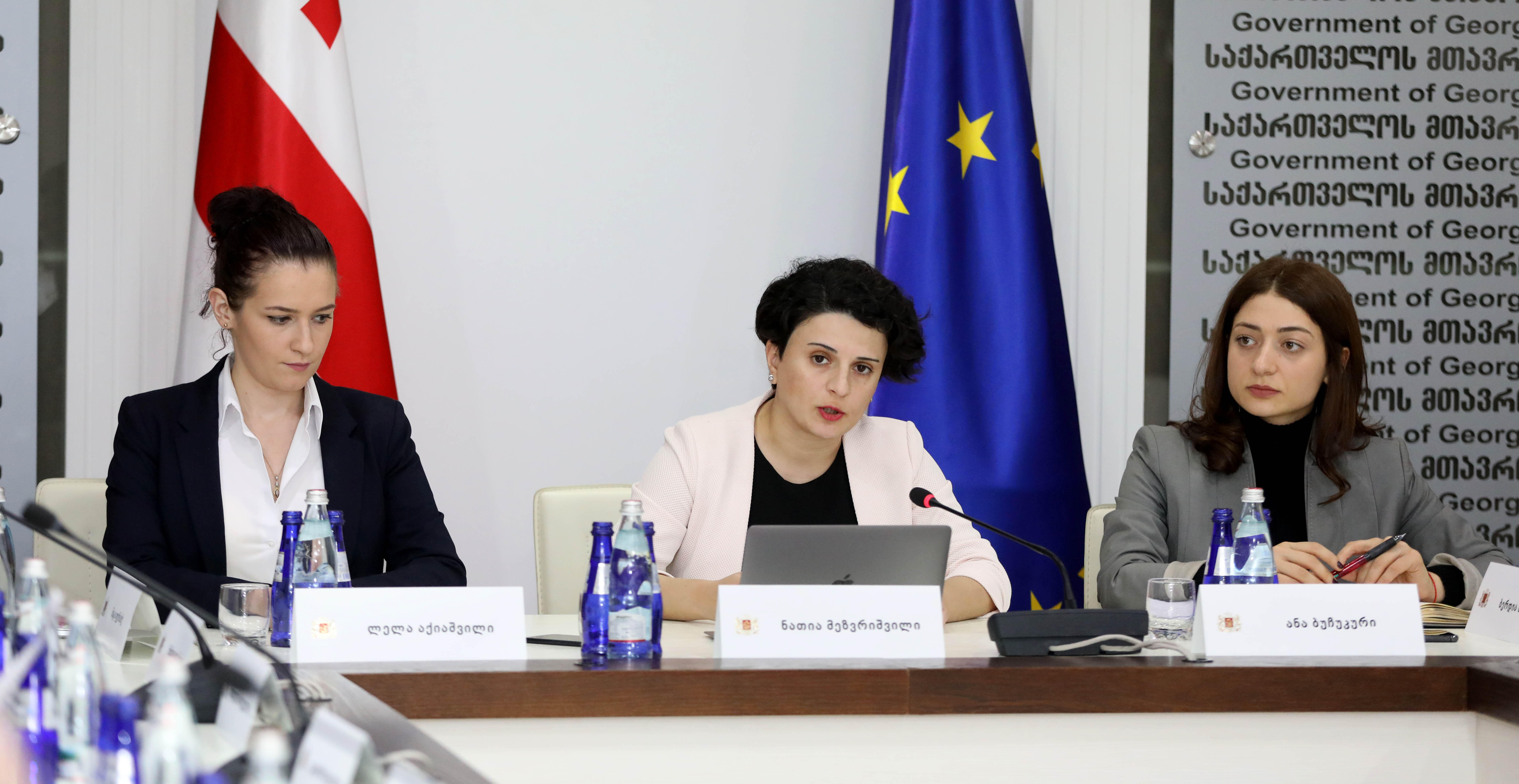 უწყებათაშორისმა სამუშაო ჯგუფმა უმოკლეს დროში გადასაჭრელი პირველი რიგის ამოცანები განსაზღვრა