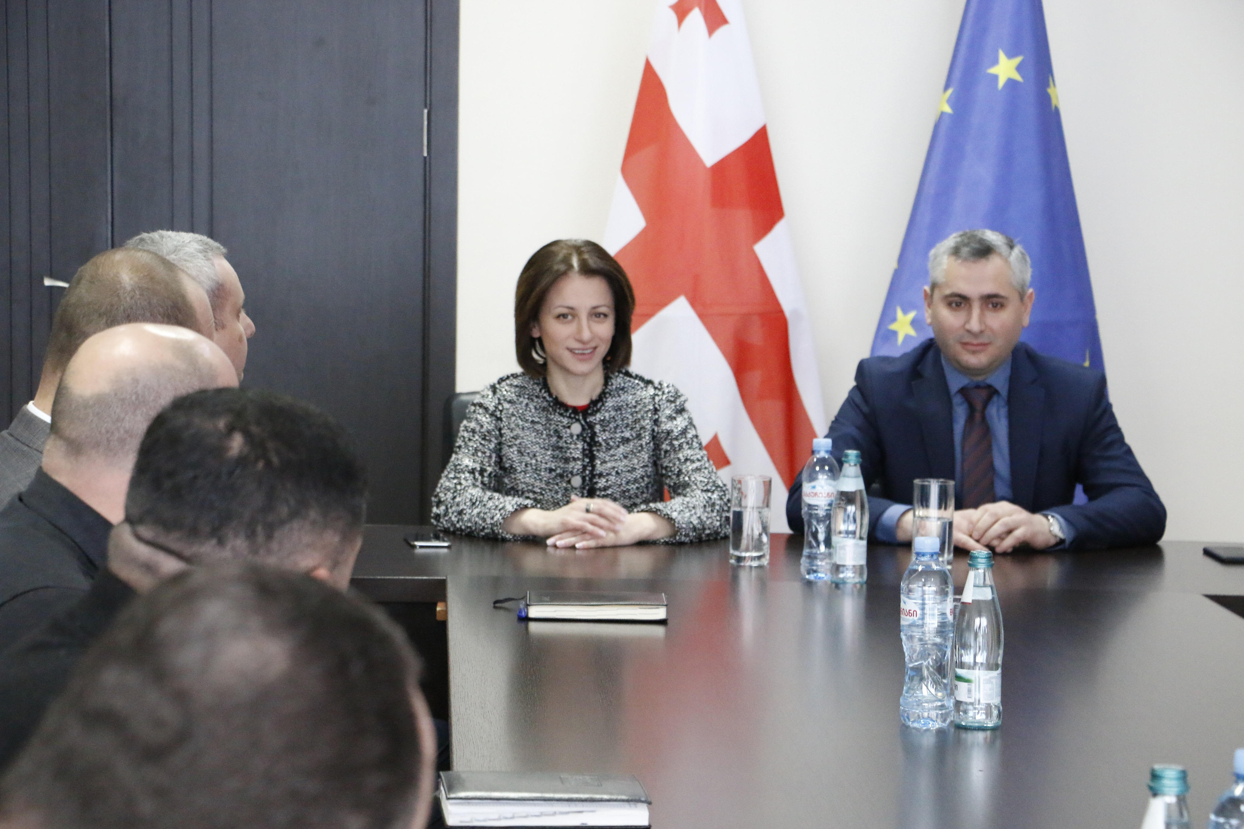 დევნილთა და ეკომიგრანტთა მიმართულებით ახალი სააგენტო შეიქმნა