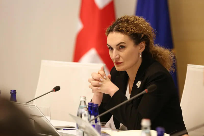 Ketevan Tsikhelashvili: Closure of the so-called crossing point is the same as to take not only Georgians hostages, but also Ossetians