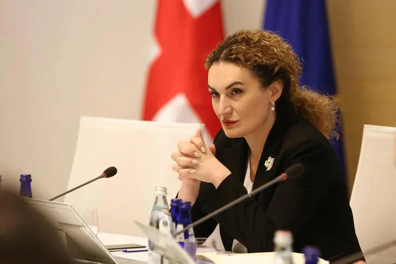 ქეთევან ციხელაშვილმა აშშ-ის ელჩთან ახალი კორონავირუსის გავრცელების საფრთხის ფონზე ოკუპირებულ ტერიტორიებზე არსებულ ვითარებასთან დაკავშირებით ისაუბრა