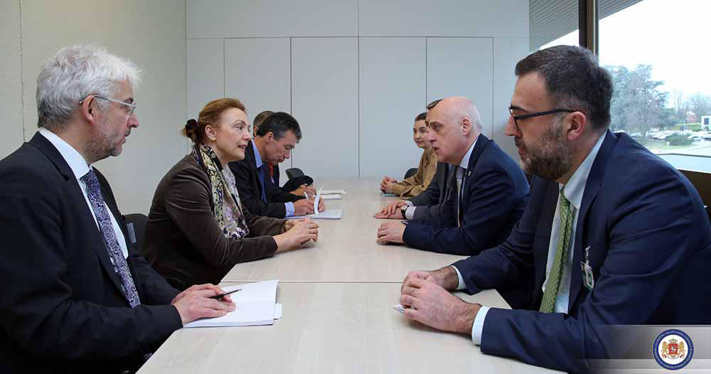 დავით ზალკალიანი ევროპის საბჭოს გენერალურ მდივანს შეხვდა