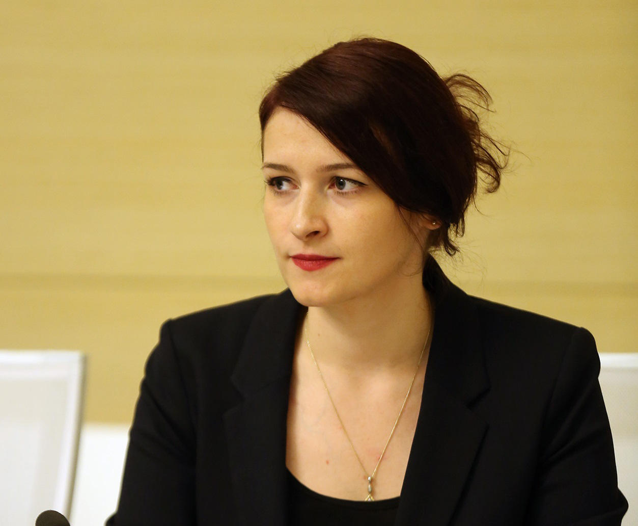 ლელა აქიაშვილი ქალთა მიმართ ძალადობაზე - დღის წესრიგში დგას არა კანონმდებლობის გამკაცრება, არამედ სამოქალაქო თვითშეგნების გაზრდა