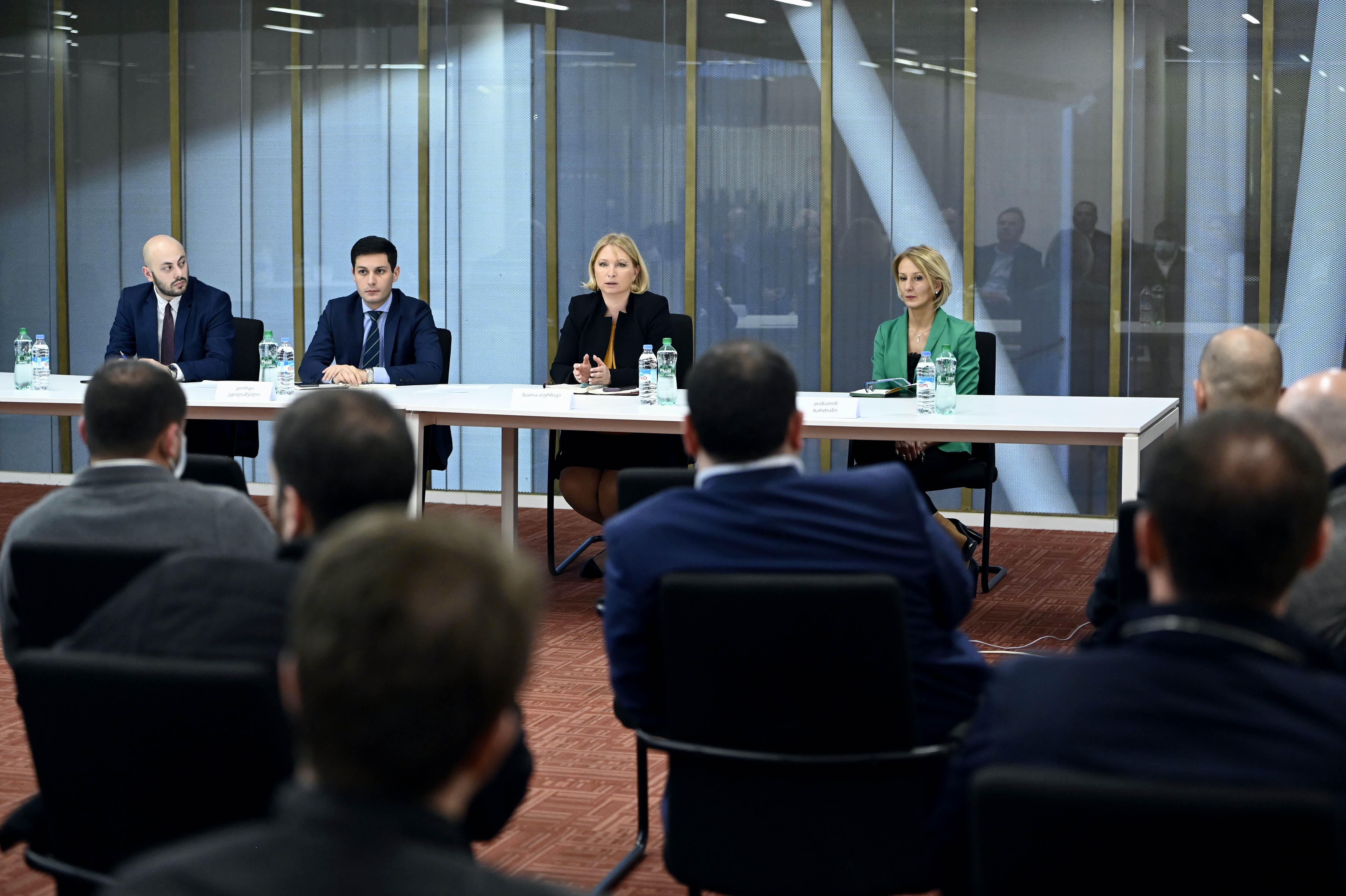 ნათია თურნავა სავაჭრო ცენტრებისა და ქსელური სავაჭრო ობიექტების წარმომადგენლებს შეხვდა