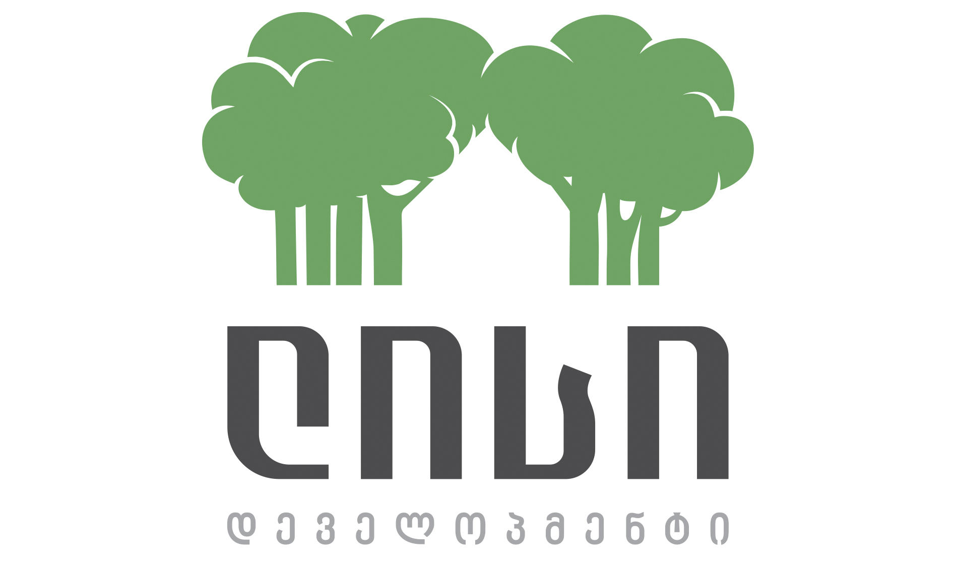 "ლისი დეველოპმენტის" განცხადება