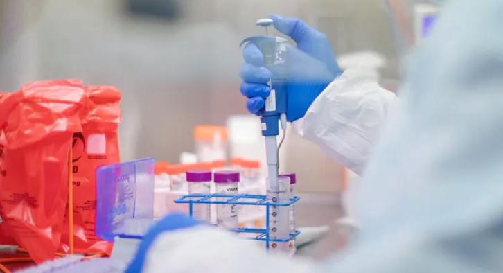60 273 coronavirus PCR testings were done in Georgia in the period of 30 January - 3 June