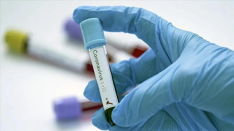 В Грузии число случаев инфицирования коронавирусом увеличилось до 336