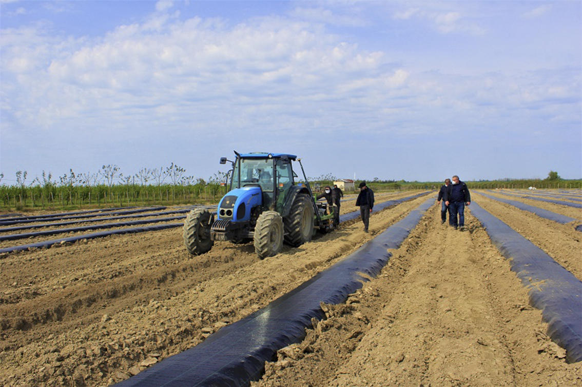 სამინისტრო - საგაზაფხულო სამუშაოები უსაფრთხოების წესების დაცვით მიმდინარეობს