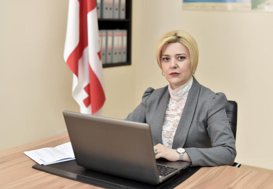 ქეთევან ბაკარაძე - აპელირება იმაზე, რომ ანტიკრიზისულ გეგმაში დევნილი საზოგადოება არ იყო მოხსენიებული, თემის ინსპირირებას უფრო ჰგავს, ვიდრე საგნობრივ კრიტიკას