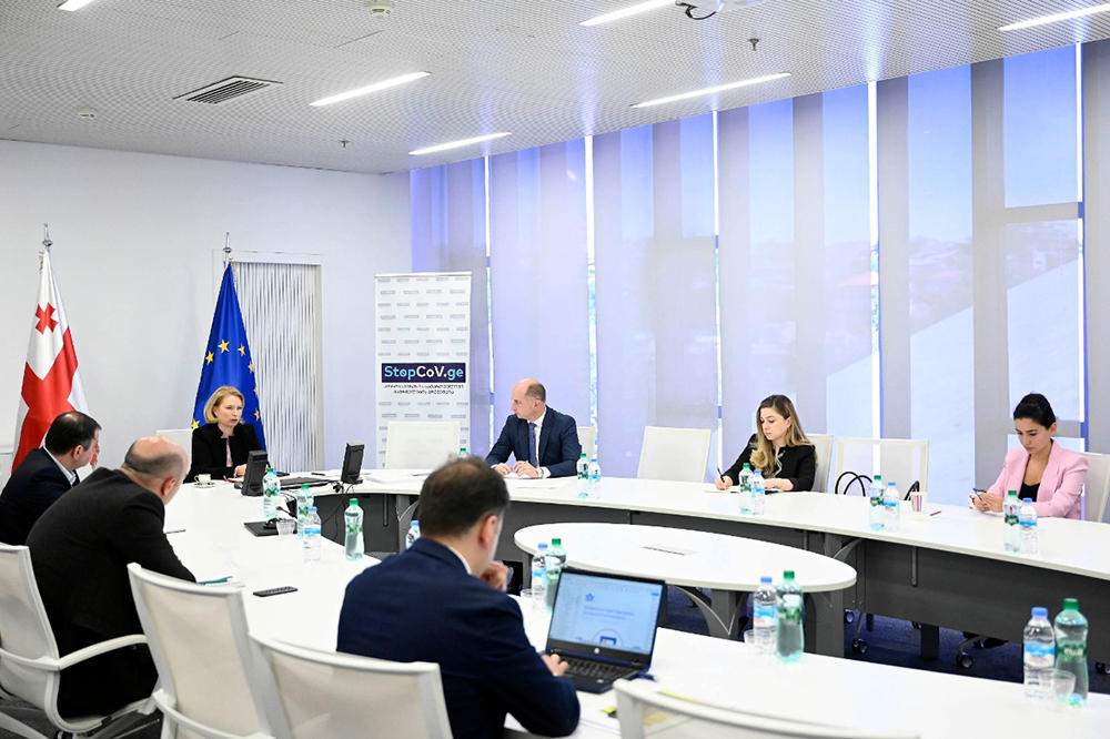 ნათია თურნავა - საქართველოს საავიაციო ბაზარზე წარმოდგენილი 36 კომპანიიდან 18-მა ფრენების აღდგენის სურვილი უკვე გამოთქვა