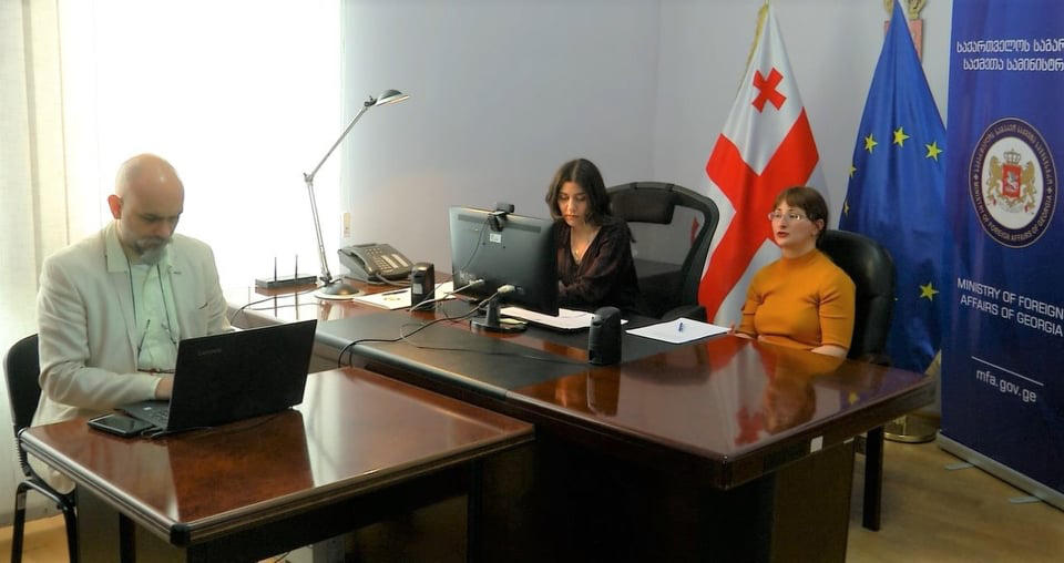 უცხოეთში მყოფი თანამემამულეებისთვის კორონავირუსთან დაკავშირებულ საკითხებზე მორიგი ონლაინ კონსულტაცია გაიმართა