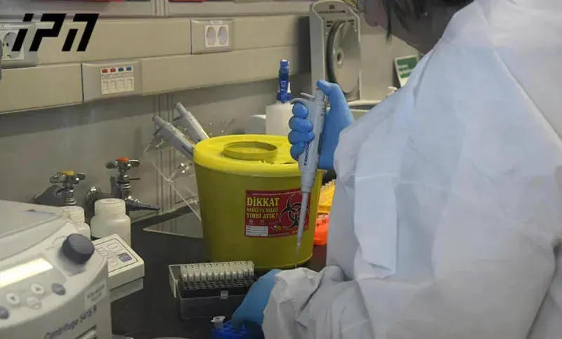 Coronavirus: Georgia reports 1 new case, 4 recoveries