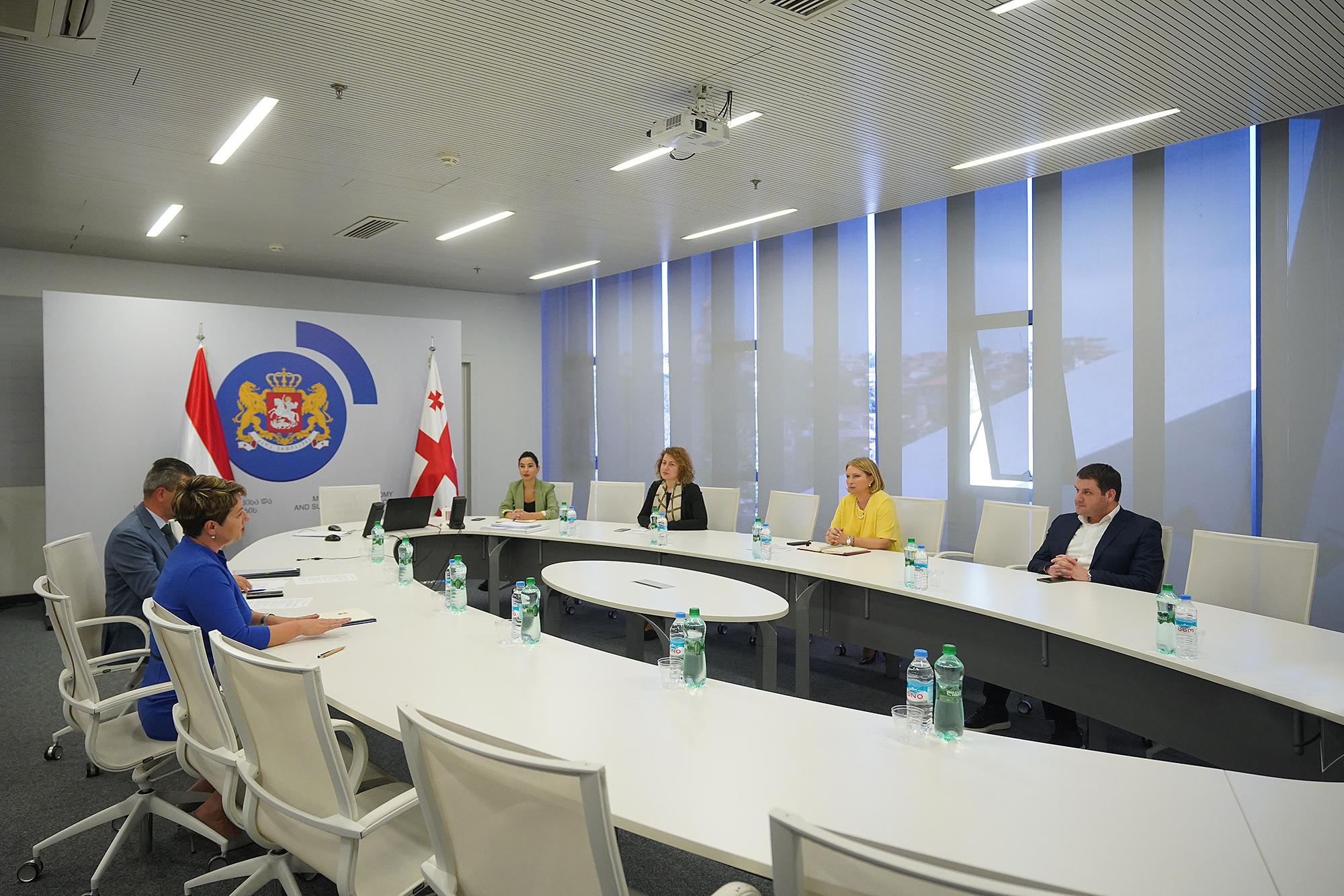 ნათია თურნავამ უნგრეთის ელჩთან ორ ქვეყანას შორის პირდაპირი ავიამიმოსვლის აღდგენის საკითხი განიხილა