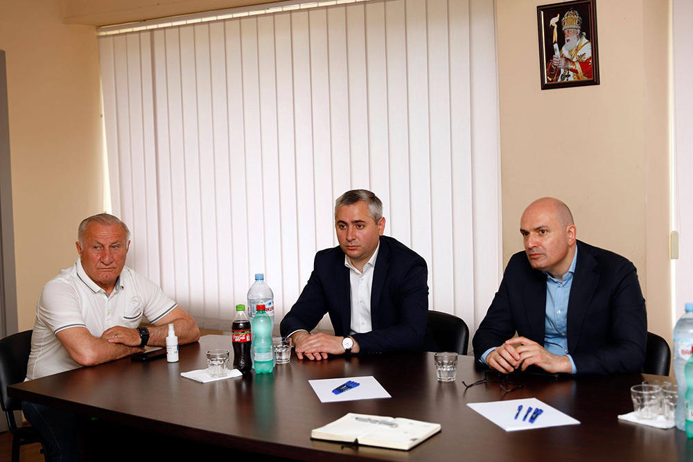 რუსლან აბაშიძე დევნილთა, ეკომიგრანტთა და საარსებო წყაროებით უზრუნველყოფის სააგენტოს დირექტორს შეხვდა