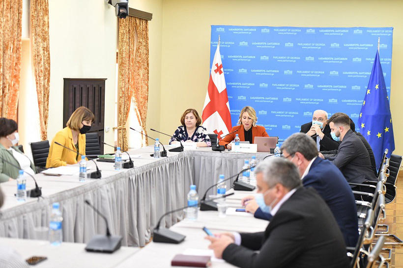 გარემოს დაცვისა და ბუნებრივი რესურსების კომიტეტში, საკომიტეტო მოკვლევის „გარემოს ტყვიით დაბინძურების შეფასება საქართველოში“ ფარგლებში, სახელმწიფო უწყებების წარმომადგენლებს მოუსმინეს