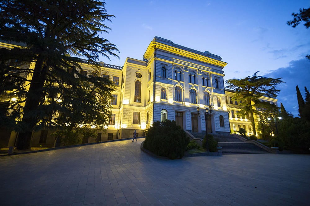 ივანე ჯავახიშვილის სახელობის თბილისის სახელმწიფო უნივერსიტეტში ქართული ენის დღე აღინიშნა