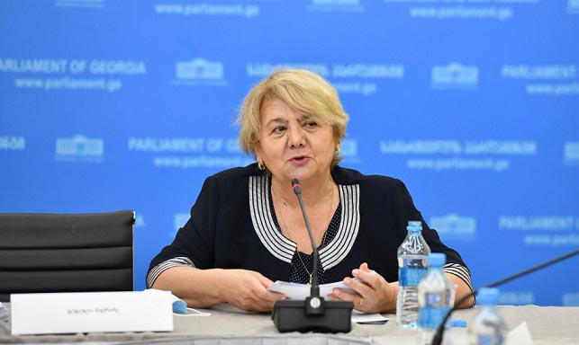 განათლების, მეცნიერებისა და კულტურის კომიტეტი სკოლის გარეთ და ზოგადსაგანმანათლებლო დაწესებულებებში სახელოვნებო განათლების მდგომარეობას აანალიზებს