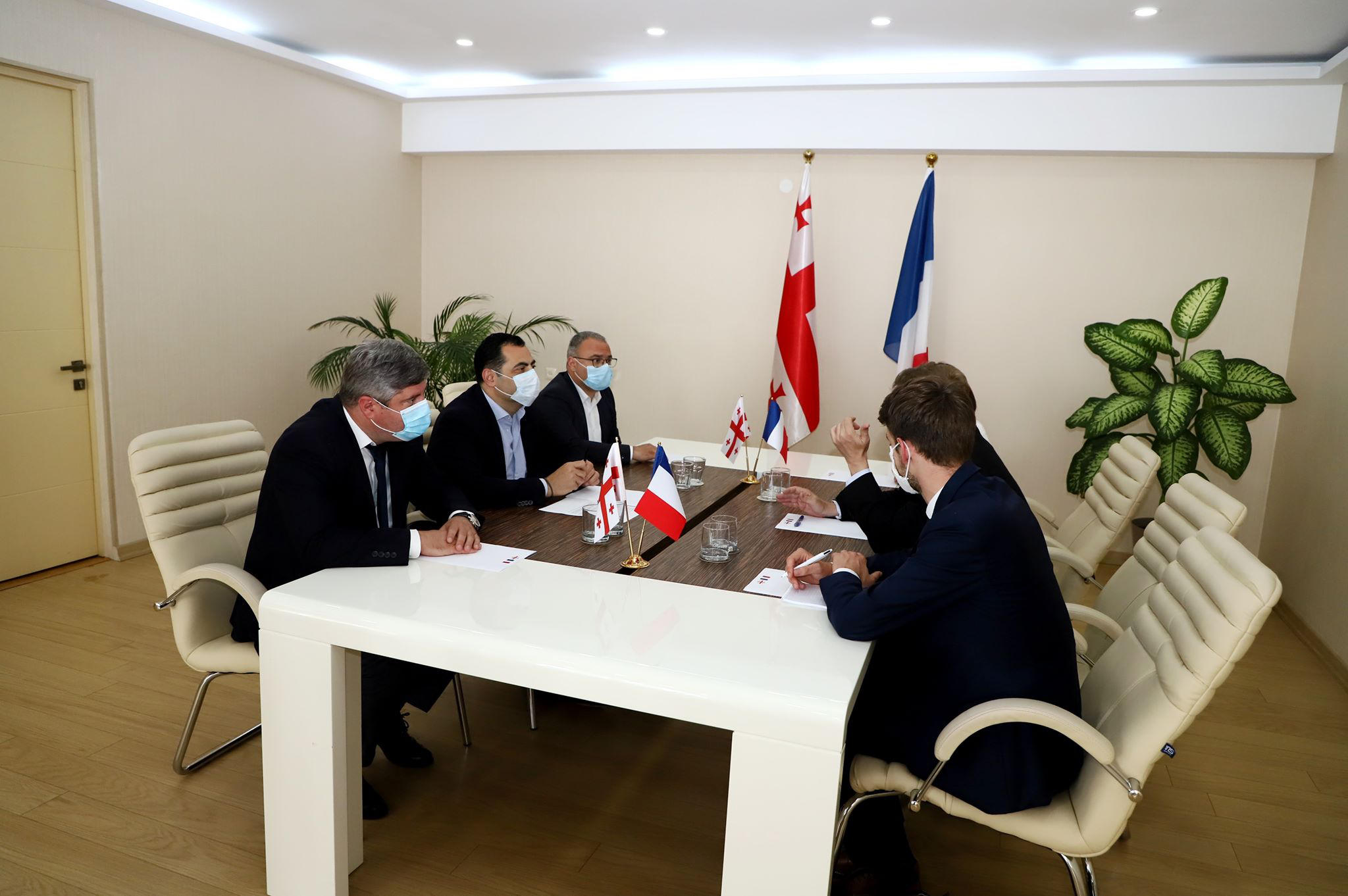 ალექსანდრე მოწერელია საფრანგეთის ელჩს შეხვდა