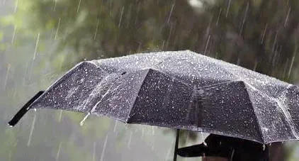 До 3 июля в отдельных районах Грузии ожидаются кратковременные дожди