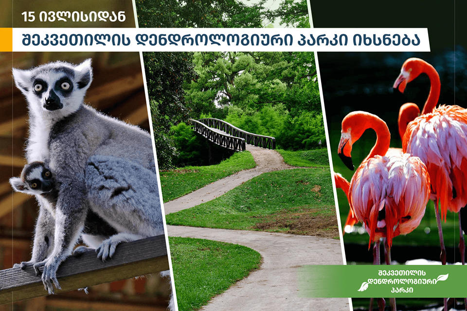 დღეს შეკვეთილის დენდროლოგიური პარკი იხსნება