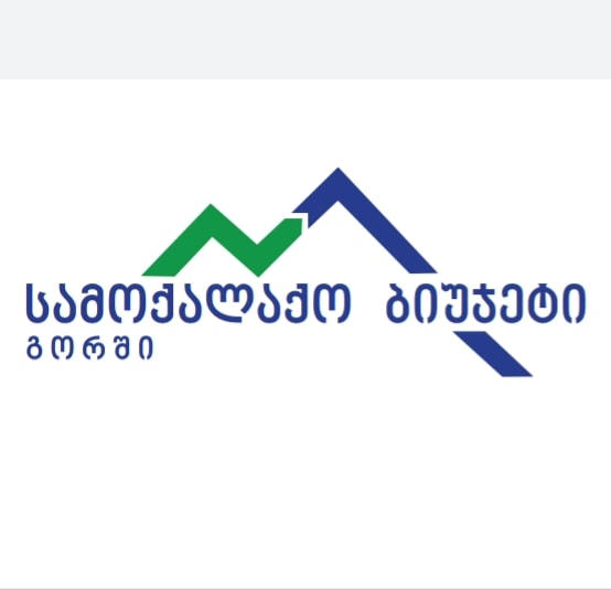 გორის მუნიციპალიტეტში „სამოქალაქო ბიუჯეტი 2021“-ის ფარგლებში პროექტების შერჩევა დაიწყო