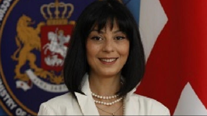 შერიგებისა და სამოქალაქო თანასწორობის საკითხებში სახელმწიფო მინისტრად თეა ახვლედიანი დაინიშნა