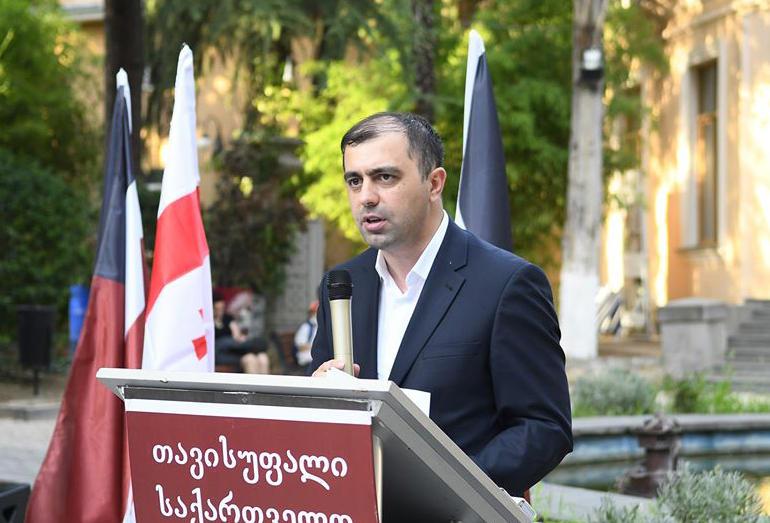 "თავისუფალი საქართველო" კერძო სკოლების დაფინანსების საკითხზე საკონსტიტუციო სარჩელს წარადგენს