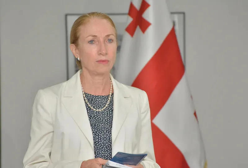 Келли Дегнан - Грузии следует ожидать вмешательства России в выборы