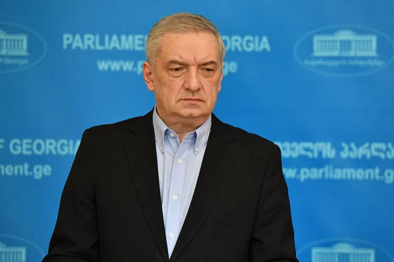 გია ვოლსკი - სააკაშვილმა თვითდაზიანების სტრატეგიას თავი უნდა დაანებოს, ის საკმაოდ სერიოზული პოლიტიკური ზეწოლის ქვეშ არის, მათ შორის თანაგუნდელებისგან