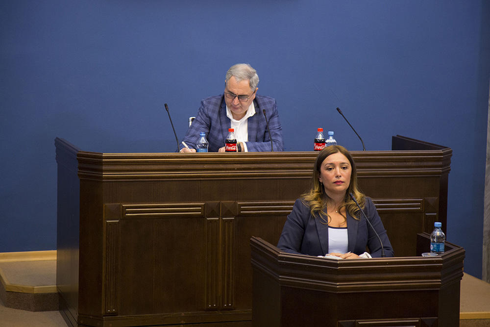 ნინო თანდილაშვილმა პარლამენტში „გარემოსდაცვითი პასუხისმგებლობის შესახებ“ ახალი კანონპროექტი წარადგინა
