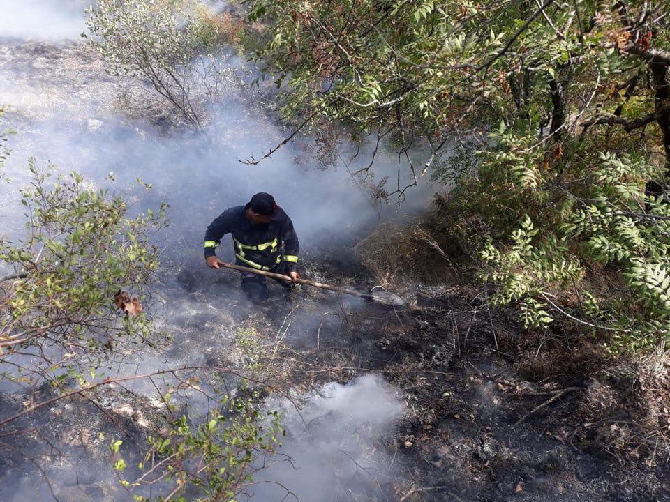ატენის ხეობაში ხანძარი ლოკალიზებულია