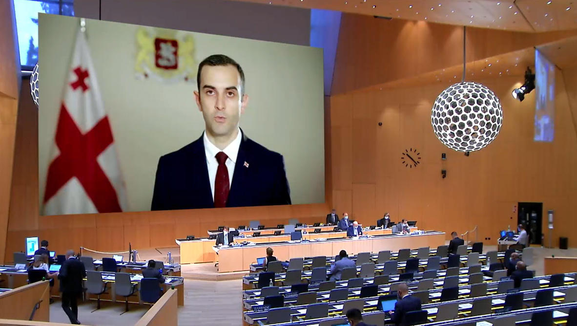 მინდია დავითაძემ WIPO-ს გენერალურ ასამბლეაზე საქართველოს სახელით განცხადება გააკეთა