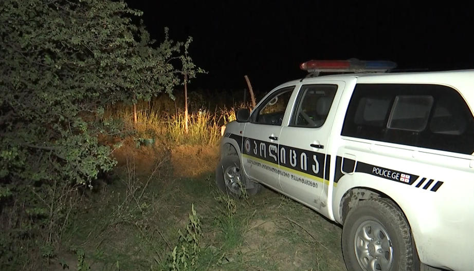 კახეთში, სხვისი ვენახებიდან ნახევარი ტონა საფერავის ჯიშის ყურძნის მოპარვის ფაქტზე 4 პირი დააკავეს