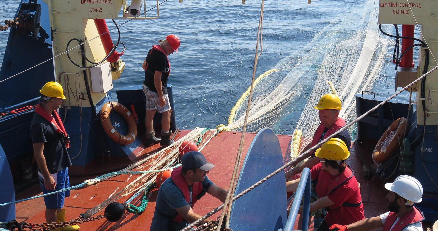 ე.წ. თევზმზიდი ელექტროშოკური მოწყობილობისა და თევზჭერის ელექტრო იარაღის უკანონო ბრუნვაზე კანონი მკაცრდება - ამ მიმართულებით ადმინისტრაციული პასუხისმგებლობის შემოღება იგეგმება