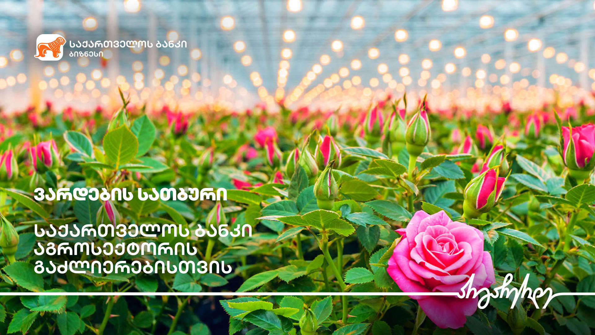 „საქართველოს ბანკის“ მხარდაჭერით ოზურგეთში ვარდების სათბური აშენდა