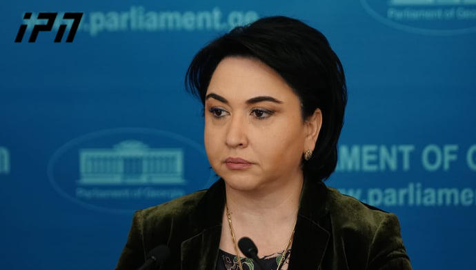Eka Beselia: Demand to ban political parties is unprecedented – scheduled hearings indicate preparations for a rushed decision